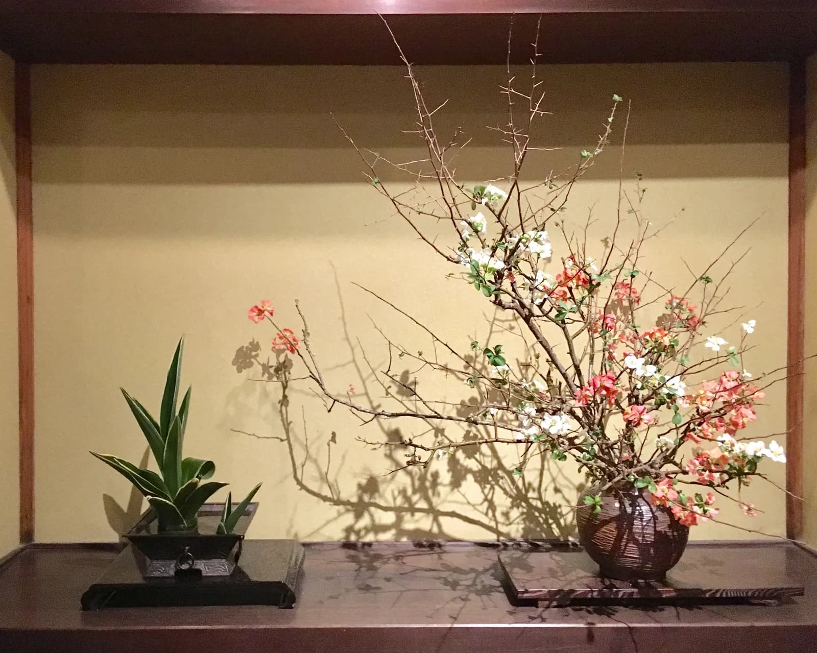 Ikebana in een houten nis: een wijd uitwaaierende tak met rode en witte bloesem naast een lage compositie van spitse groene bladeren