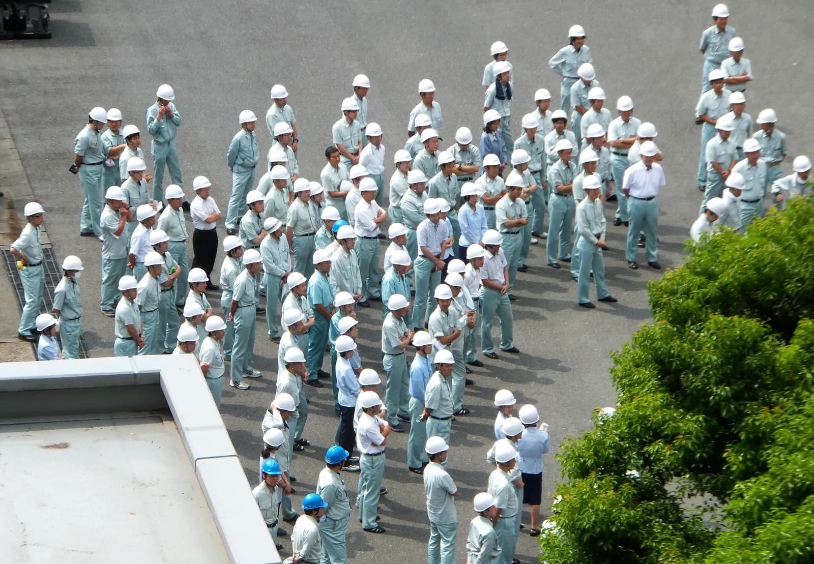 Groep medewerkers met witte veiligheidshelmen verzameld op een open terrein tijdens een rampenoefening in Japan