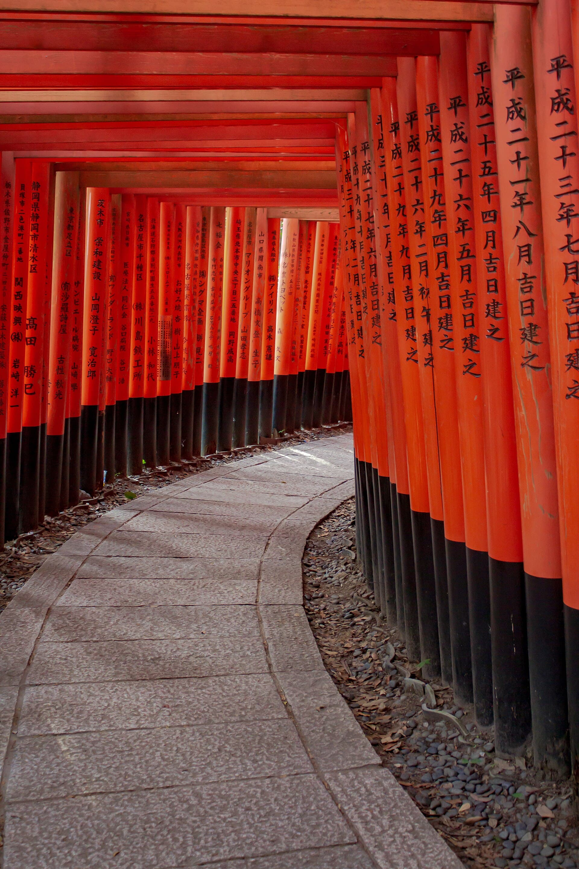 Rijen vermiljoenrode torii-poorten bij Fushimi Inari-taisha in Kyoto